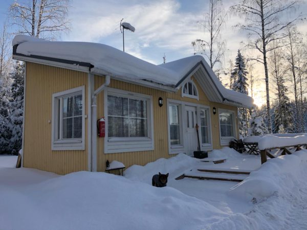 Taukotupa