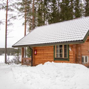 Pikkutupa