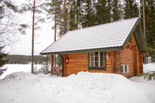 Pikkutupa
